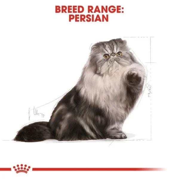 Royal Canin Persian Adult Dry & Wet Food - Image 3
