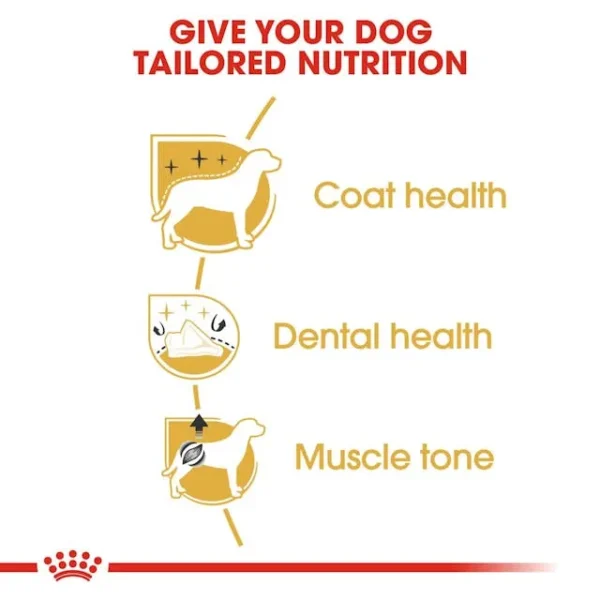 Royal Canin Poodle Adult & Puppy - Image 2
