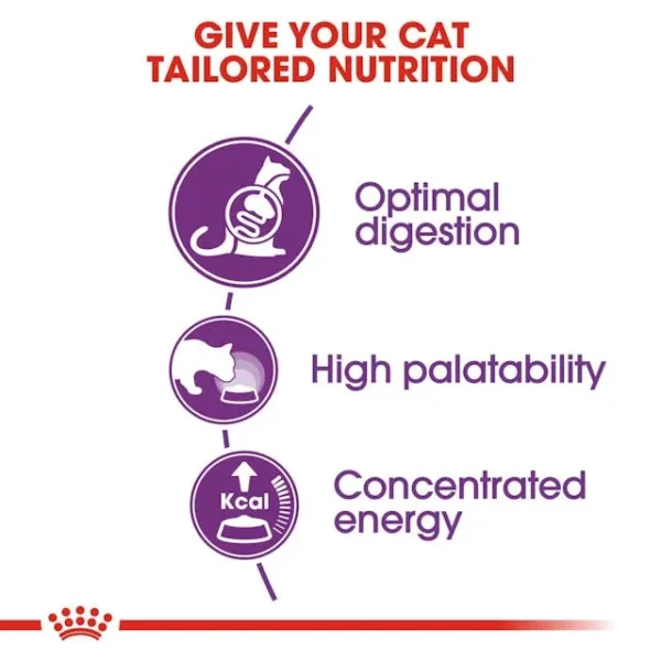 Royal Canin Sensible Dry Food untuk Kucing - Image 2