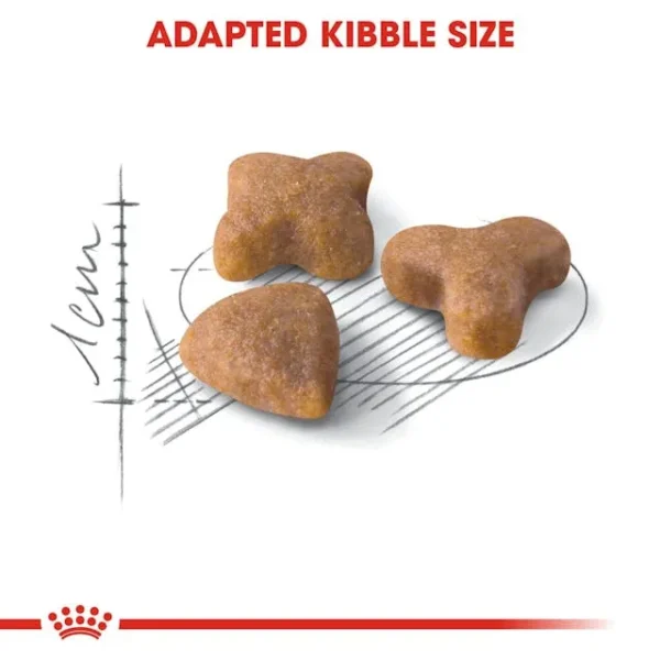 Royal Canin Sensible Dry Food untuk Kucing - Image 3