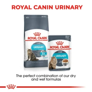 Royal Canin Urinary Care untuk Kucing