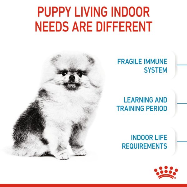 Royal Canin Mini Indoor Puppy (1.5kg) Dry Makanan Anak Anjing - Size Health Nutrition - Image 3
