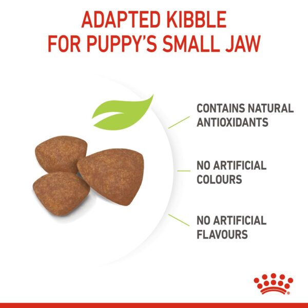 Royal Canin Mini Indoor Puppy (1.5kg) Dry Makanan Anak Anjing - Size Health Nutrition - Image 5