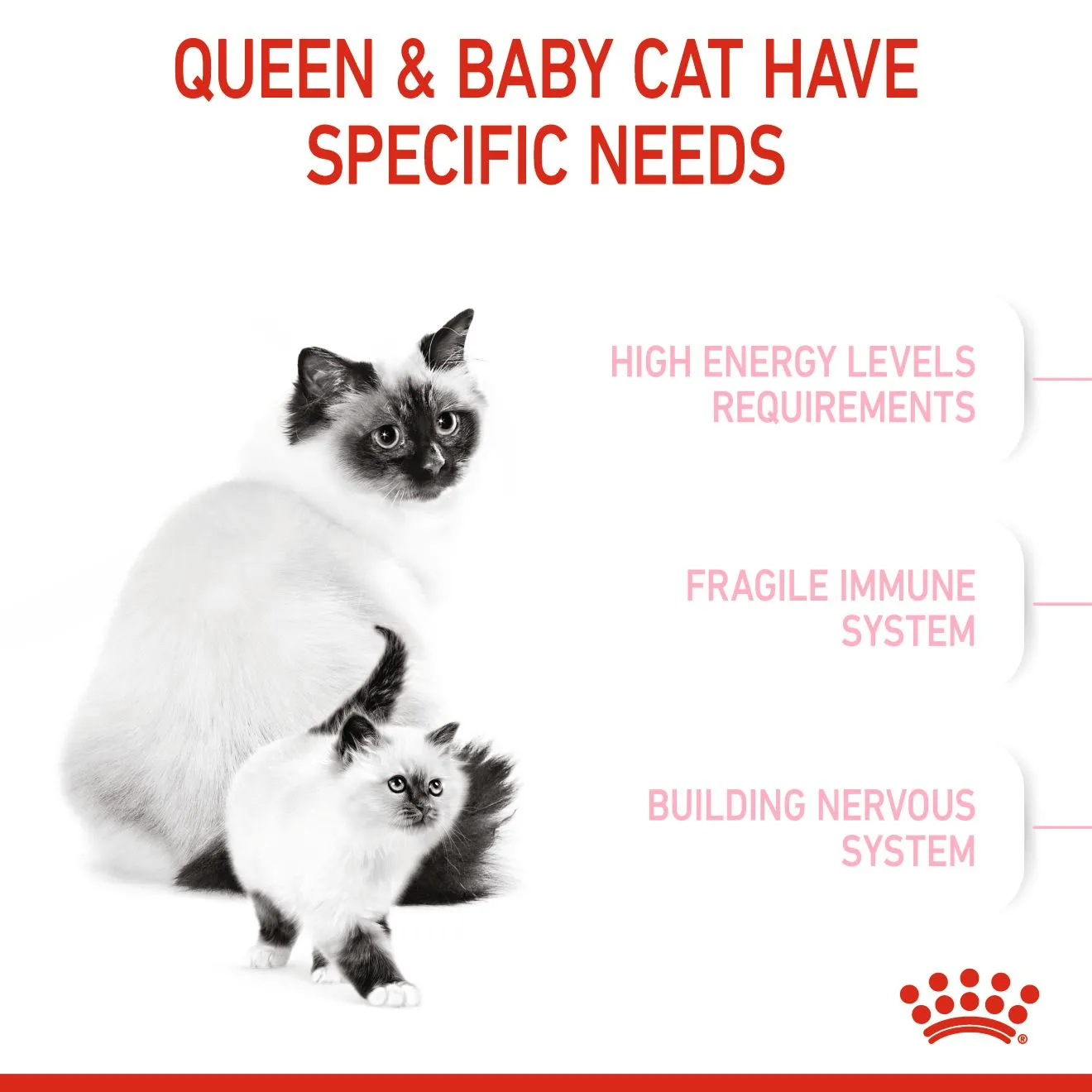 Royal Canin Mother & Babycat (2kg) Dry Makanan Kucing - Feline Health Nutrition - Image 3
