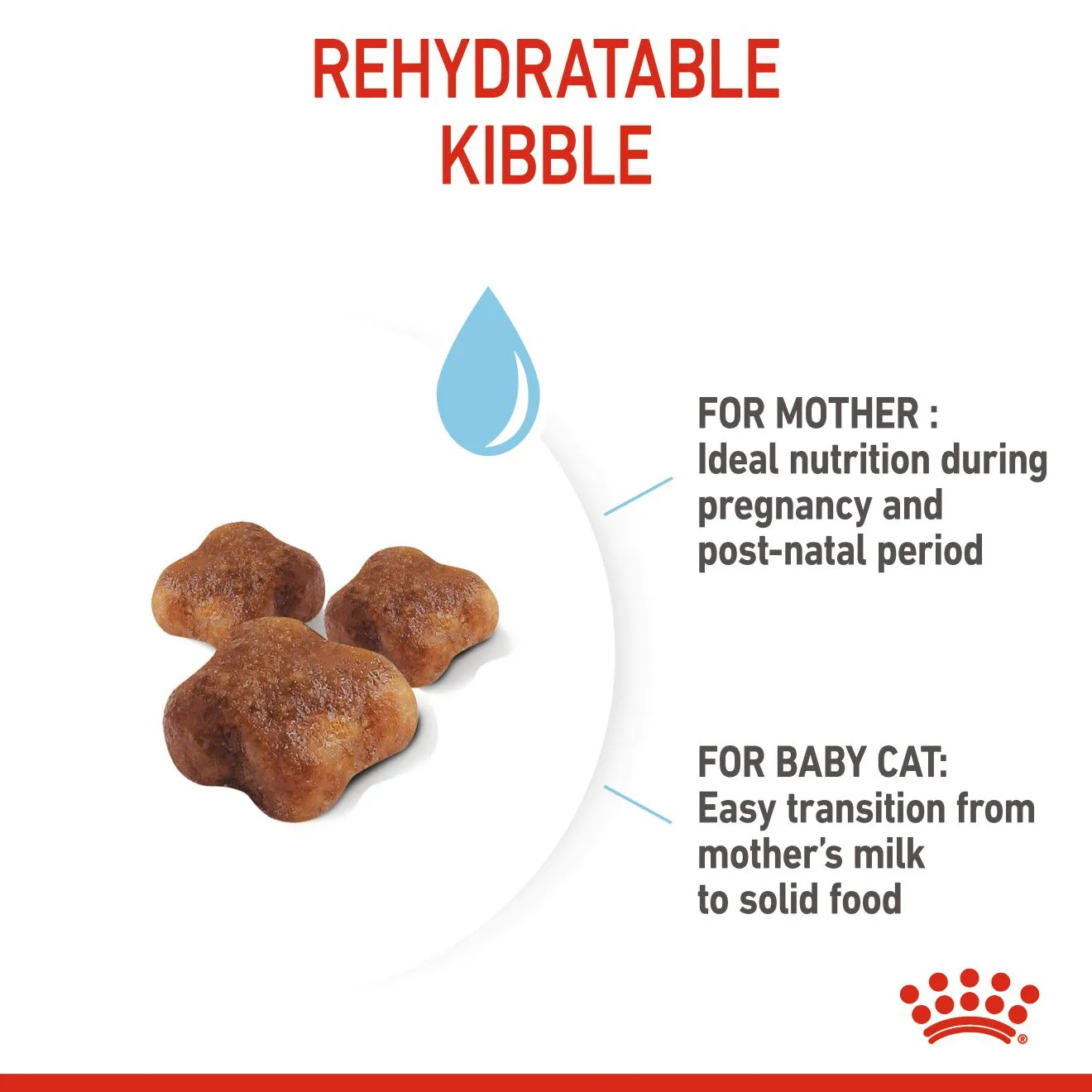 Royal Canin Mother & Babycat (2kg) Dry Makanan Kucing - Feline Health Nutrition - Image 5