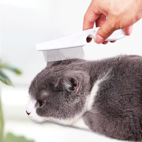 Sisir Kutu Chiro untuk Hewan