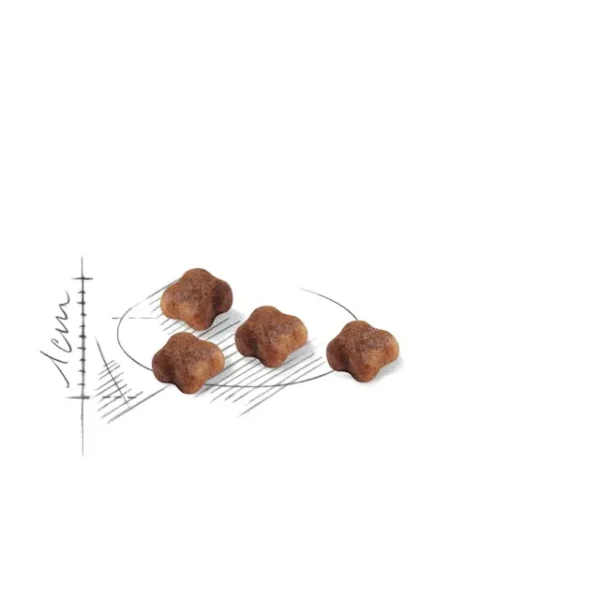 Royal Canin Mother Baby Cat - Image 2