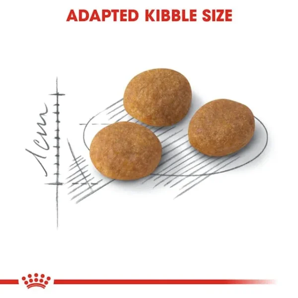 Royal Canin Aroma Exigent - Image 2