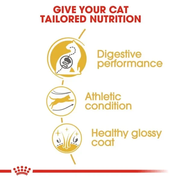 Royal Canin Bengal Adult - Image 4