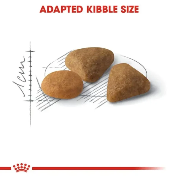 Royal Canin Savour Exigent - Image 2