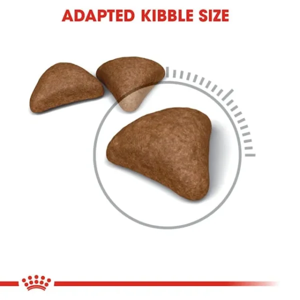 Royal Canin Hairball Care - Image 2