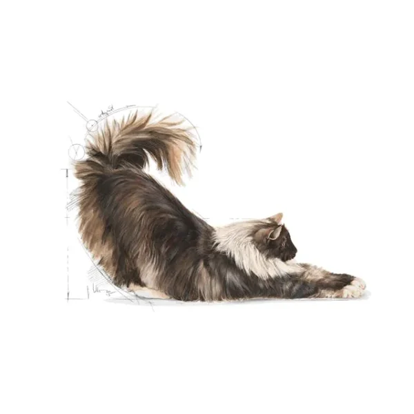 Royal Canin Indoor Long Hair - Image 3