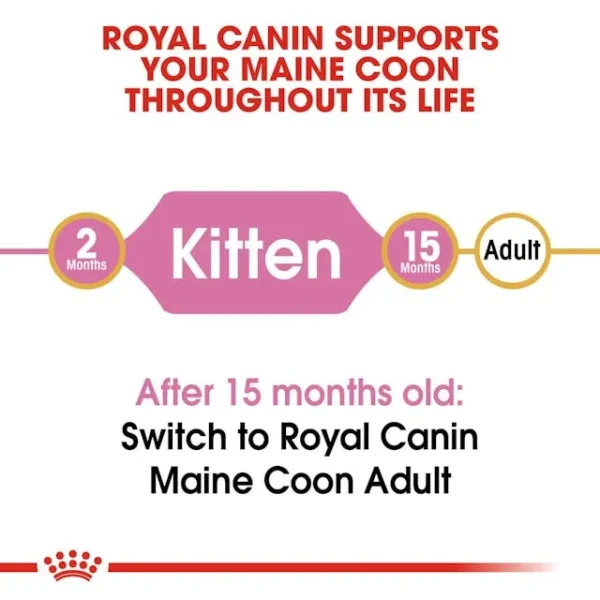 Royal Canin Maine Coon Kitten - Image 2