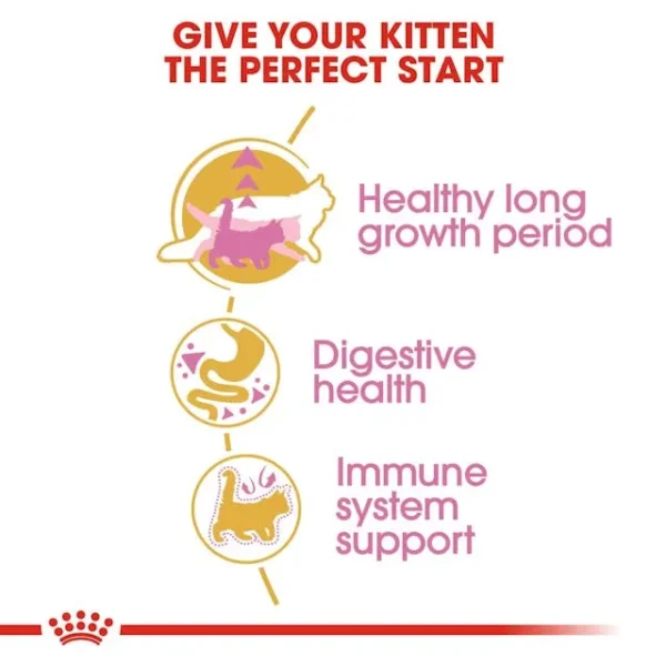 Royal Canin Maine Coon Kitten - Image 5