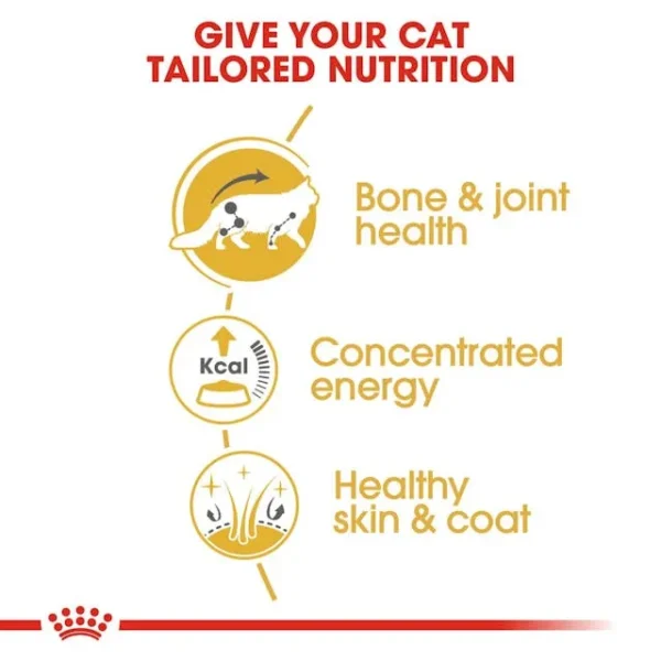 Royal Canin Maine Coon Adult - Image 5