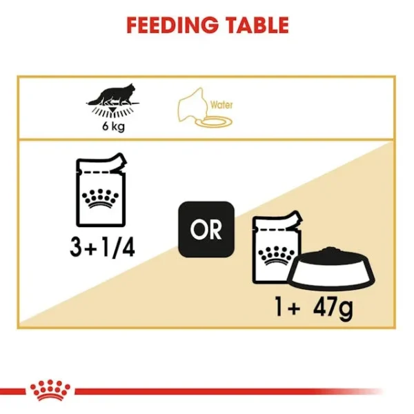 Royal Canin Maine Coon Adult - Image 6