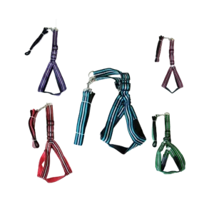 Harness Double All Colour