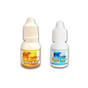 Healthy Ears & Healthy Eyes