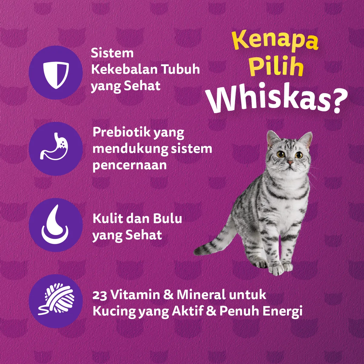 Whiskas Dry Adult (1.2kg) - Mackarel - Image 4
