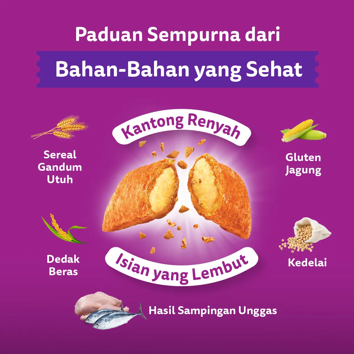 Whiskas Dry Adult (1.2kg) - Mackarel - Image 5