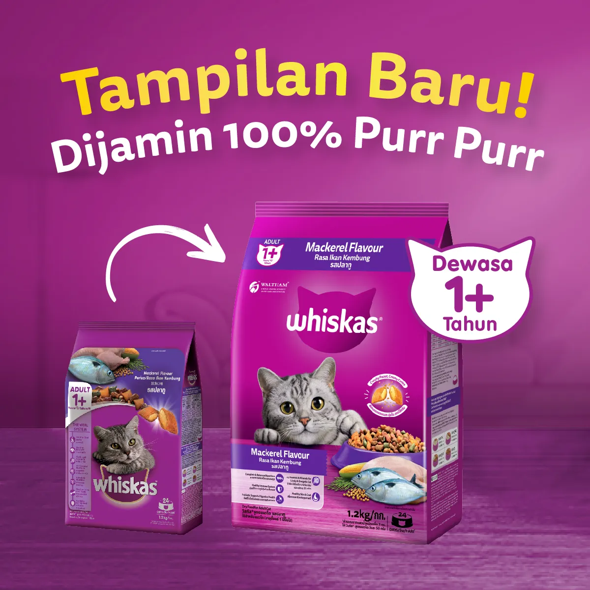 Whiskas Dry Adult (1.2kg) - Mackarel - Image 7