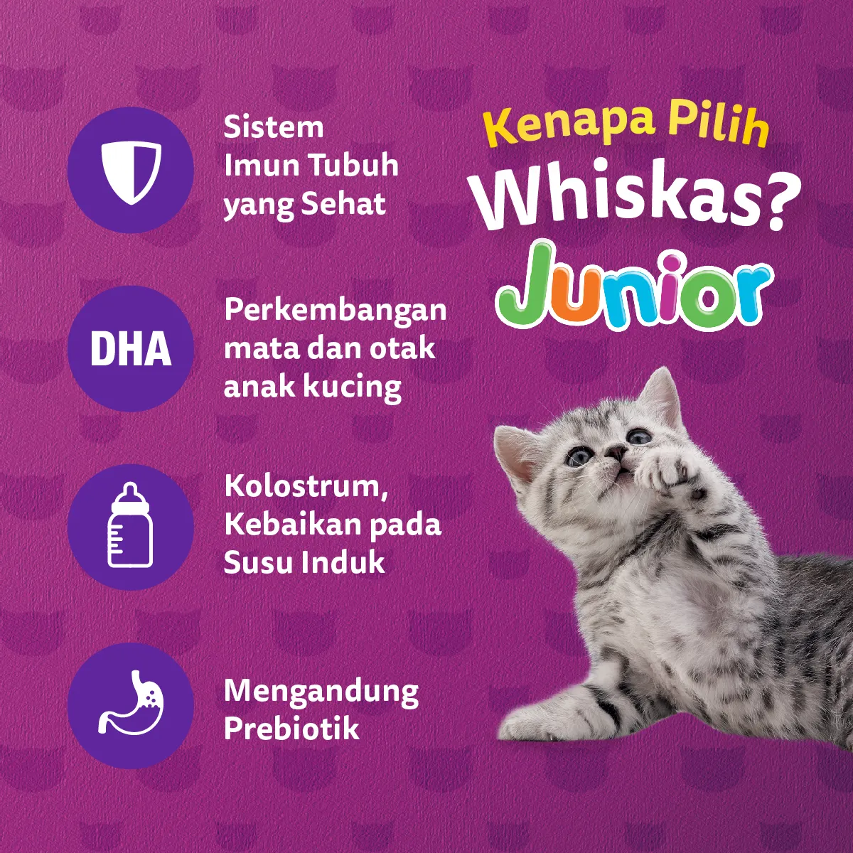 Whiskas Dry Junior (1.1kg) - Mackarel - Image 4