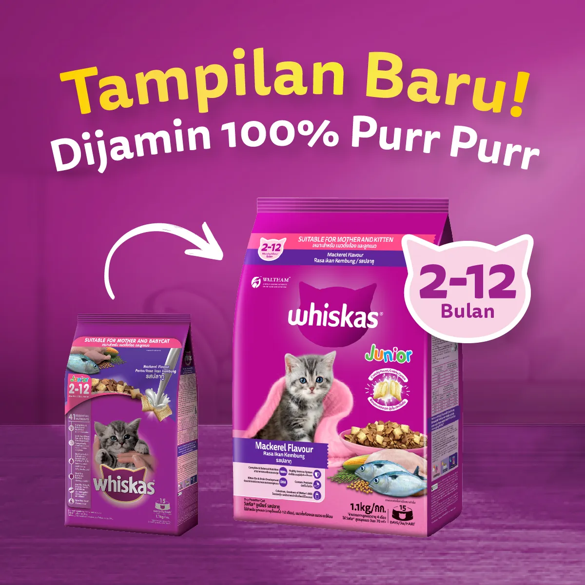 Whiskas Dry Junior (1.1kg) - Mackarel - Image 7