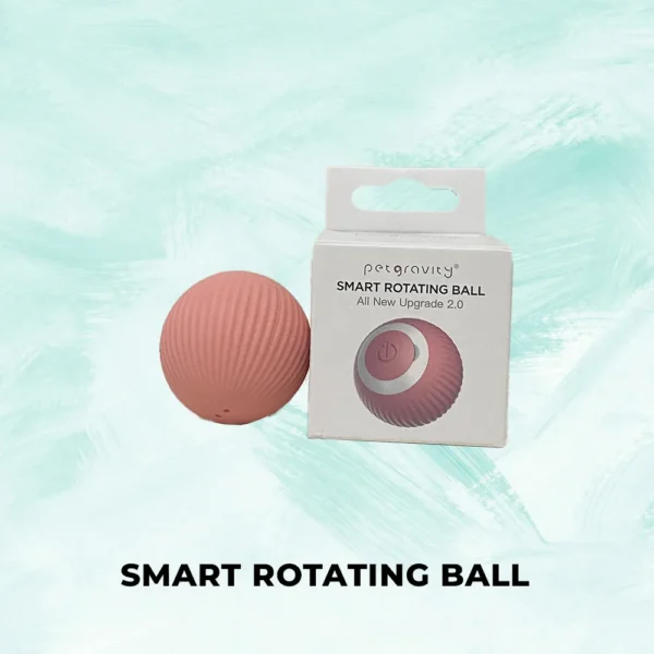 Smart Ball Mainan untuk Hewan Peliharaan - Image 3