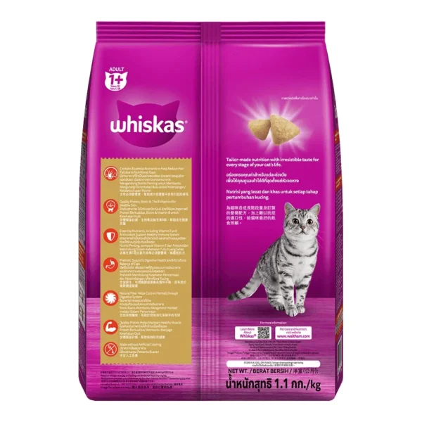 Whiskas Dry Skin & Coat rasa Ayam & Salmon - Image 4