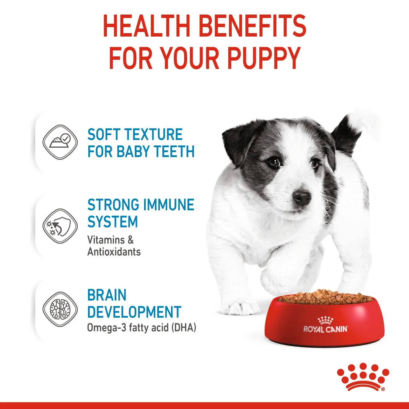 Royal Canin Mini Puppy (85g x 1) Wet Makanan Anak Anjing - Size Health Nutrition - Image 4