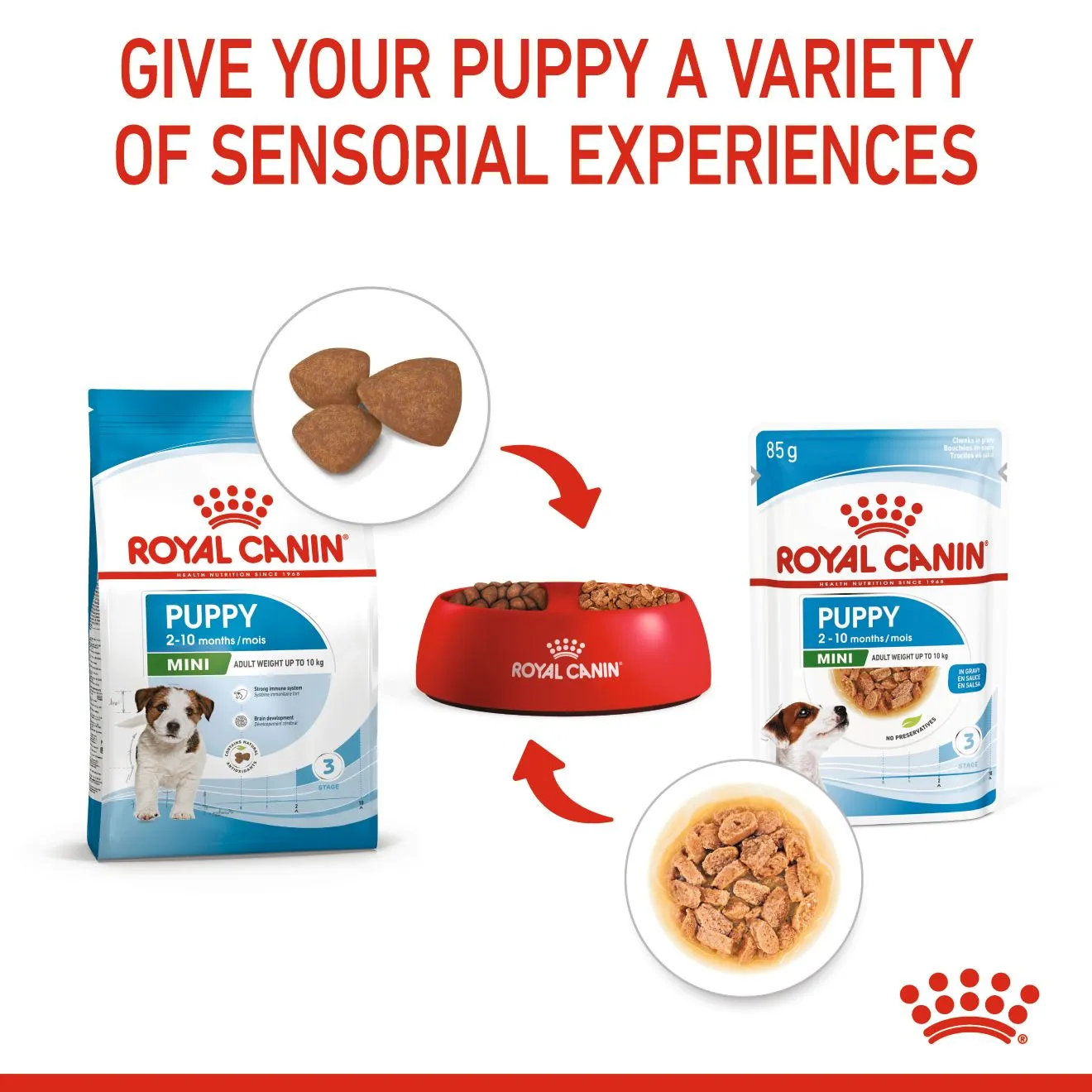 Royal Canin Mini Puppy (85g x 1) Wet Makanan Anak Anjing - Size Health Nutrition - Image 5