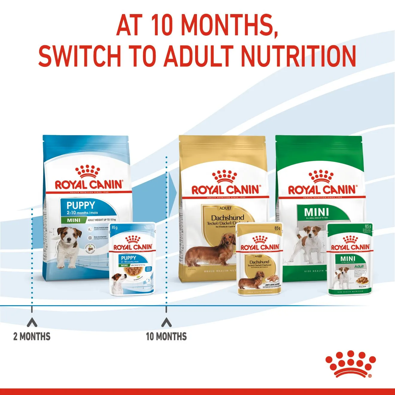 Royal Canin Mini Puppy (85g x 1) Wet Makanan Anak Anjing - Size Health Nutrition - Image 8