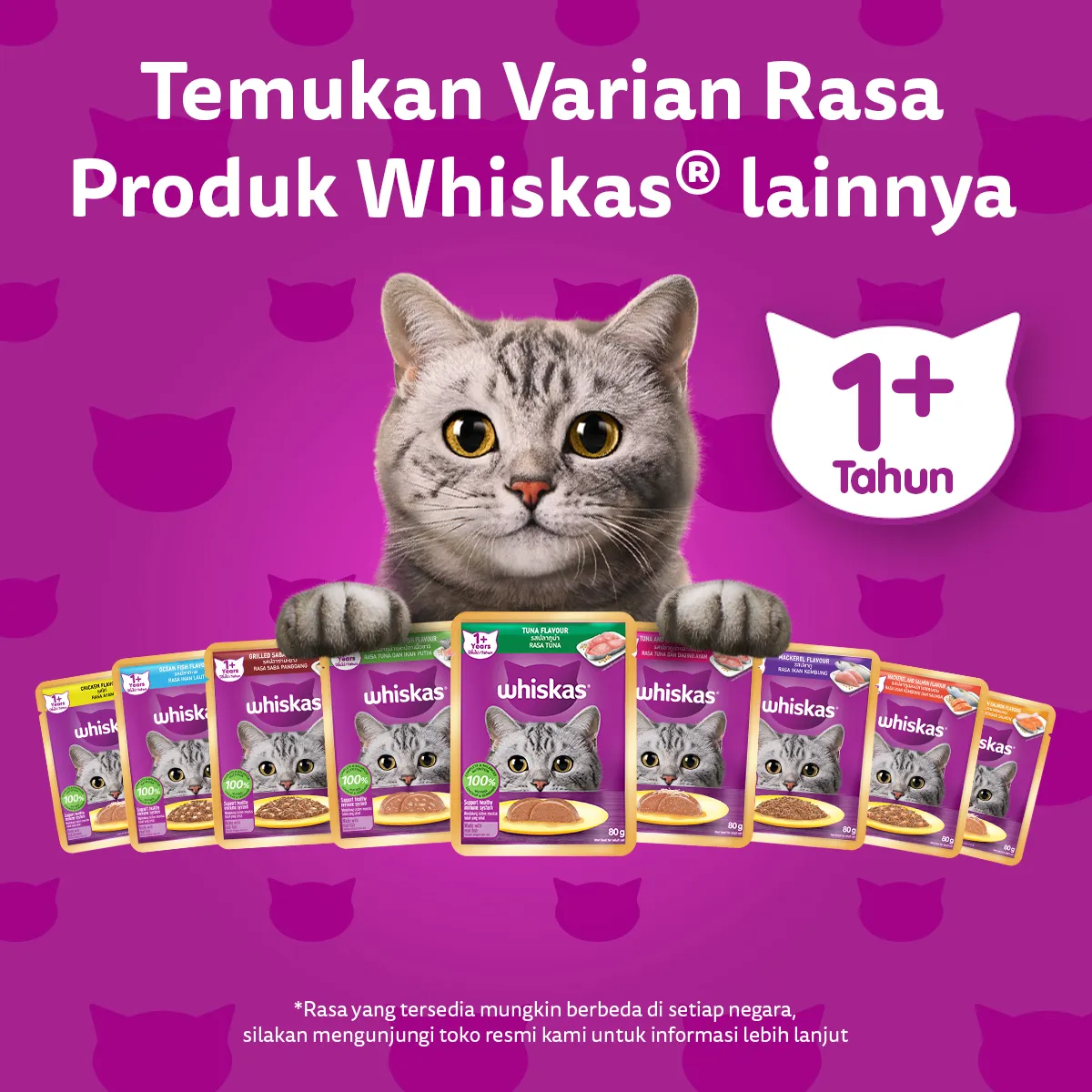 Whiskas Pouch Adult (80gr) - Chicken Salmon Loaf - Image 6