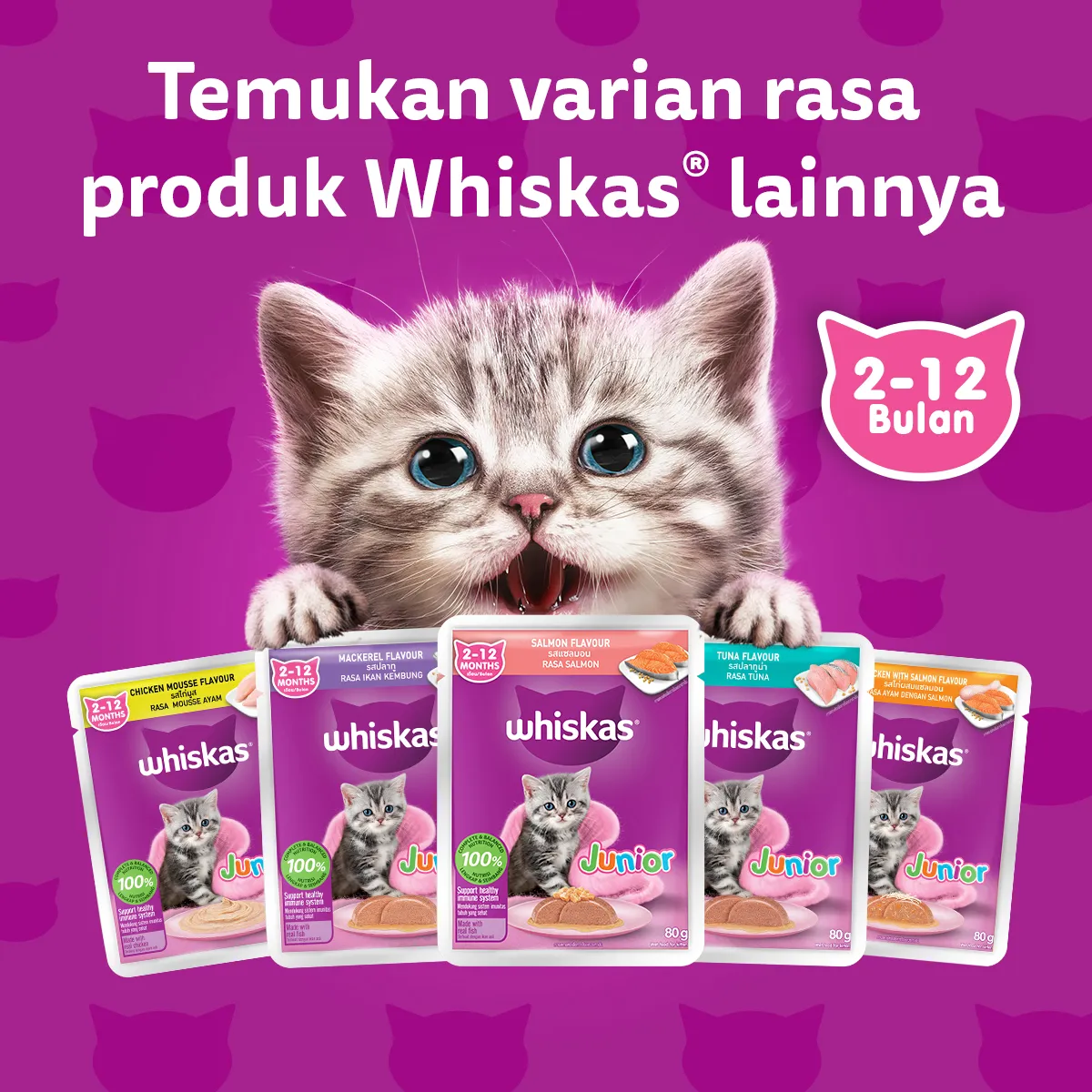 Whiskas Pouch Junior (80gr) - Chicken Mousse - Image 6