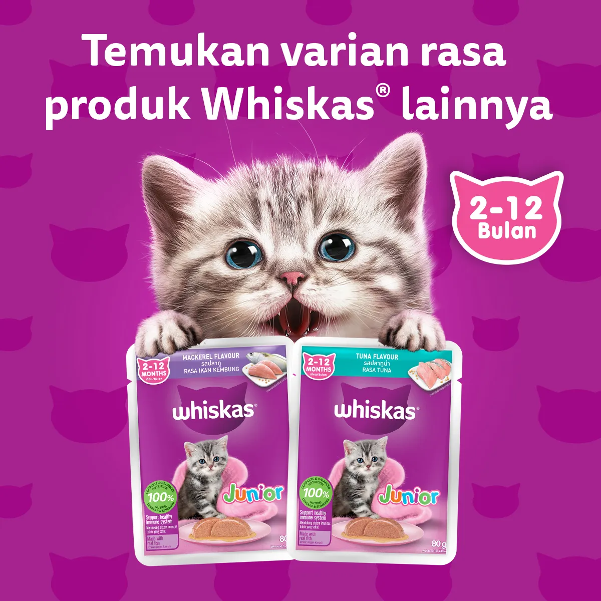 Whiskas Pouch Junior (80gr) - Tuna - Image 6