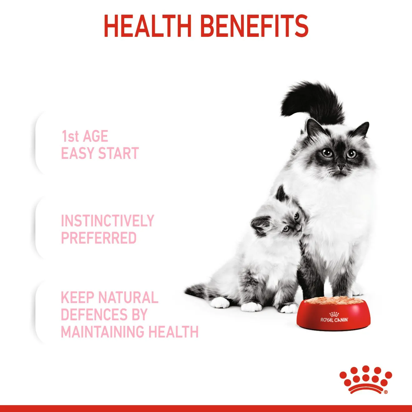 Royal Canin Mother & Babycat Mousse (100g) - Image 3