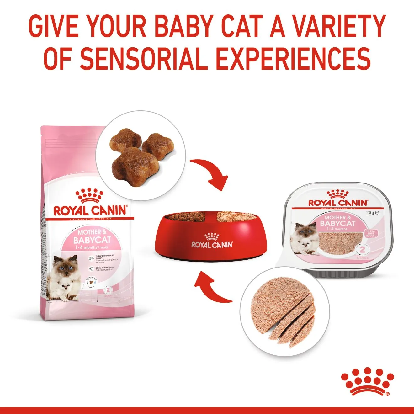 Royal Canin Mother & Babycat Mousse (100g) - Image 4
