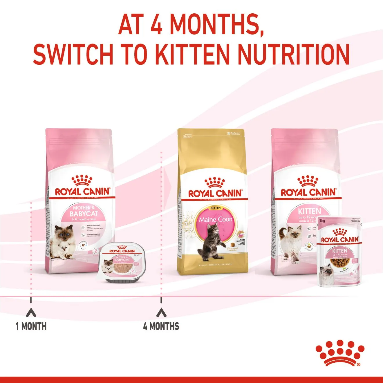 Royal Canin Mother & Babycat Mousse (100g) - Image 7